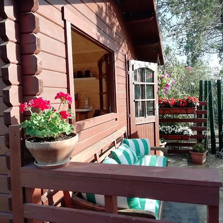 Appia Antica Cottage Rom Rum bild